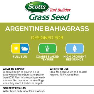 Scotts Turf Builder 5 lbs. Grass Seed Argentine Bahiagrass for Excellent Heat  Drought Resistance 18001-1