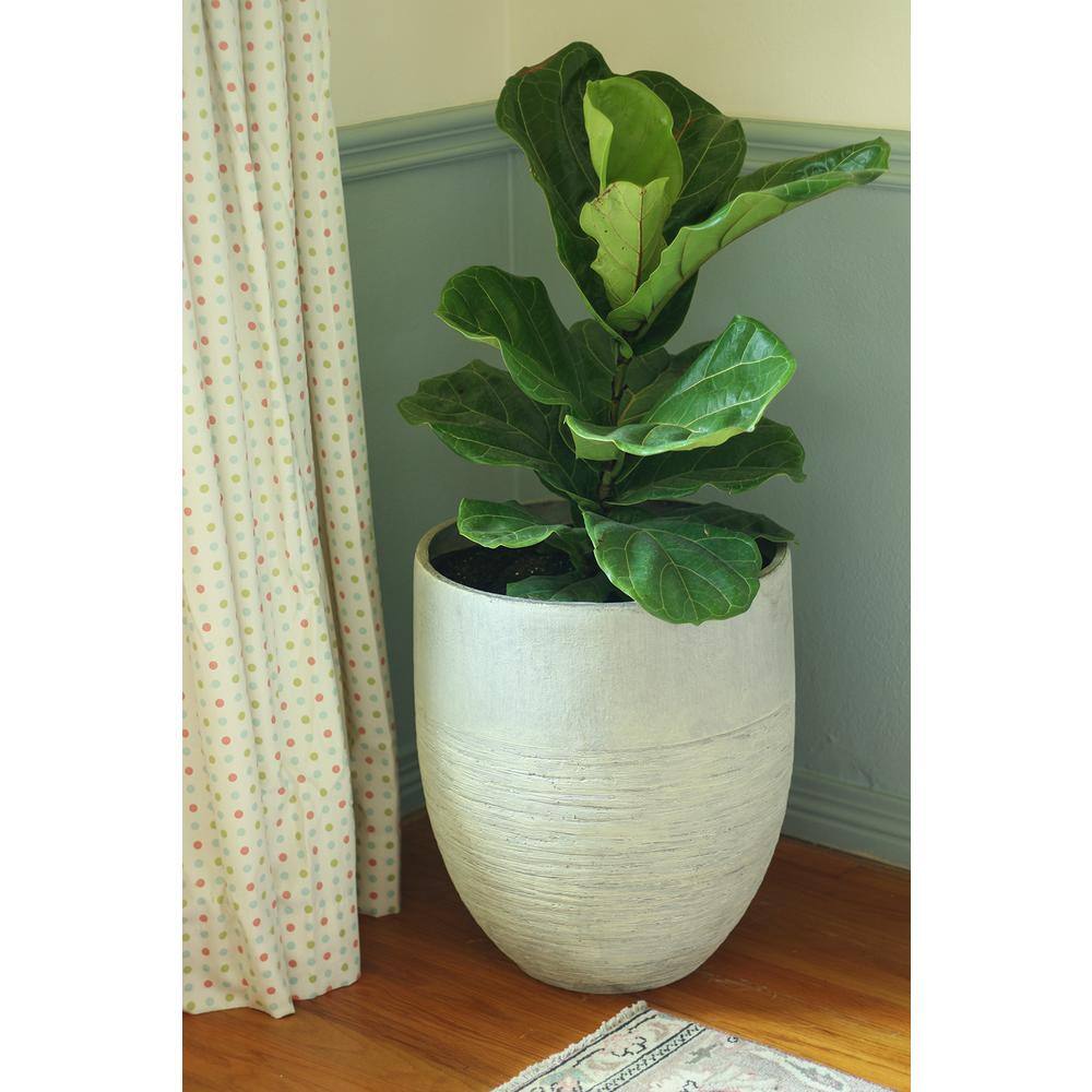 Vigoro 17 in. Jennings Large Gray Plastic Fiberglass Tall Decorative Planter (17 in. D x 19 in. H) With Drainage Hole GRC-049425A