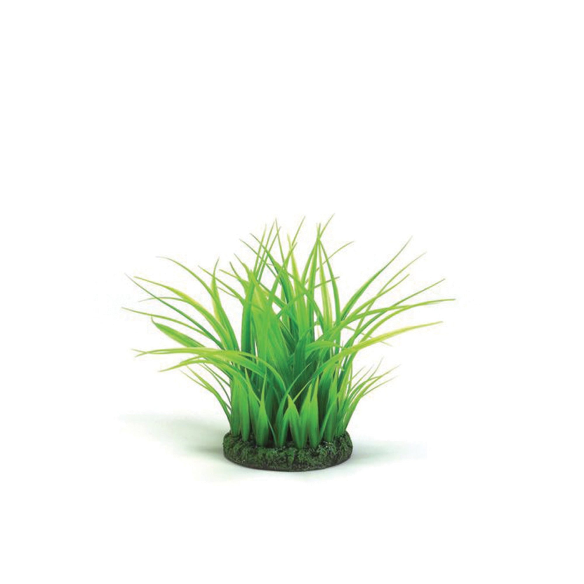 biOrb Aquarium Decorative Grass Ring， Plastic， Small， Green