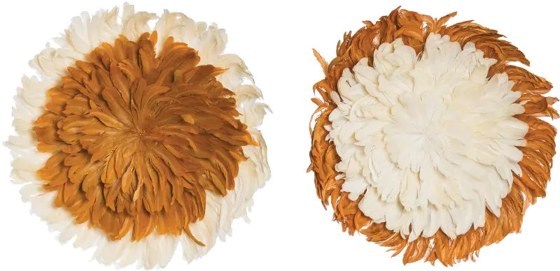 Assorted Round Two Tone Feather Wall Decor