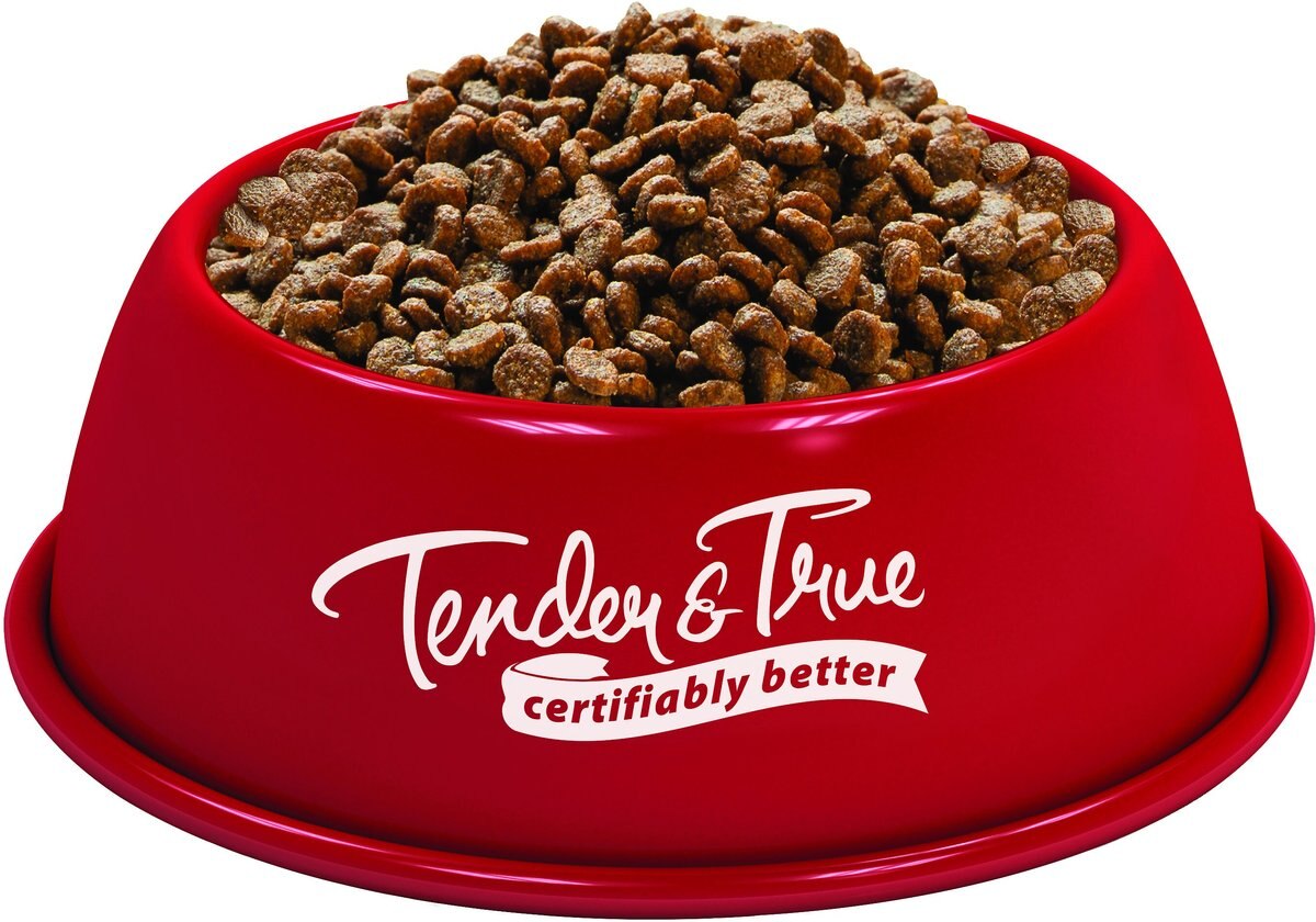 Tender and True Organic Chicken Recipe Small Breed Grain-Free Dry Dog Food， 4-lb bag