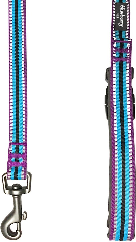 Blueberry Pet 3M Striped Polyester Reflective Dog Leash