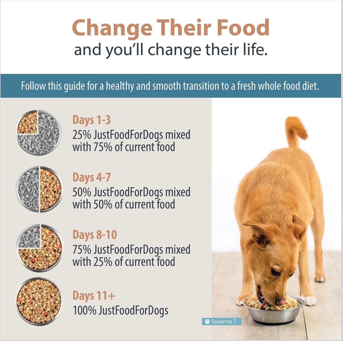 JustFoodForDogs Turkey and Whole Wheat Macaroni Recipe Frozen Human-Grade Fresh Dog Food