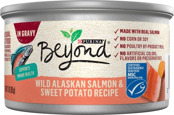 Purina Beyond Wild Alaskan Salmon and Sweet Potato Recipe in Gravy Canned Cat Food