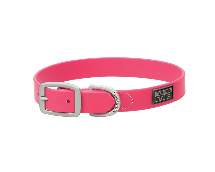 Terrain D.O.G. Brahma Webb® Dog Collar， Hot Pink， 1