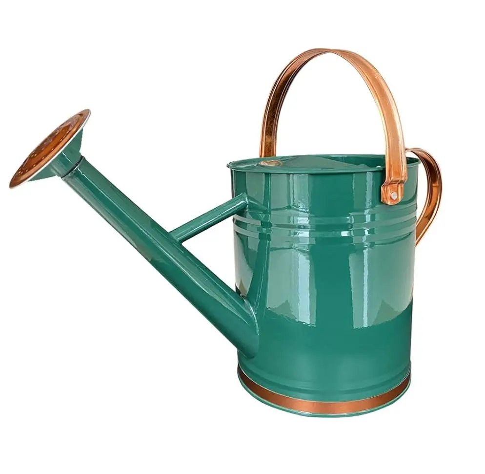 Classic Style Watering Canes Iron Watering Can For Indoor Outdoor Garden Flower Garden Supplies Water Plant