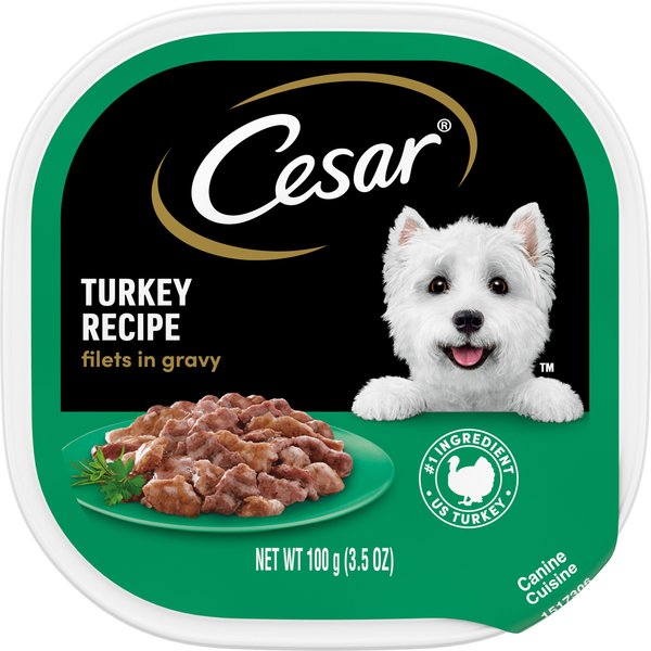 Cesar Turkey Recipe Filets in Gravy Wet Dog Food Trays