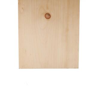 1 in. x 12 in. x 8 ft. Premium Kiln-Dried Square Edge Whitewood Common Softwood Board 458538