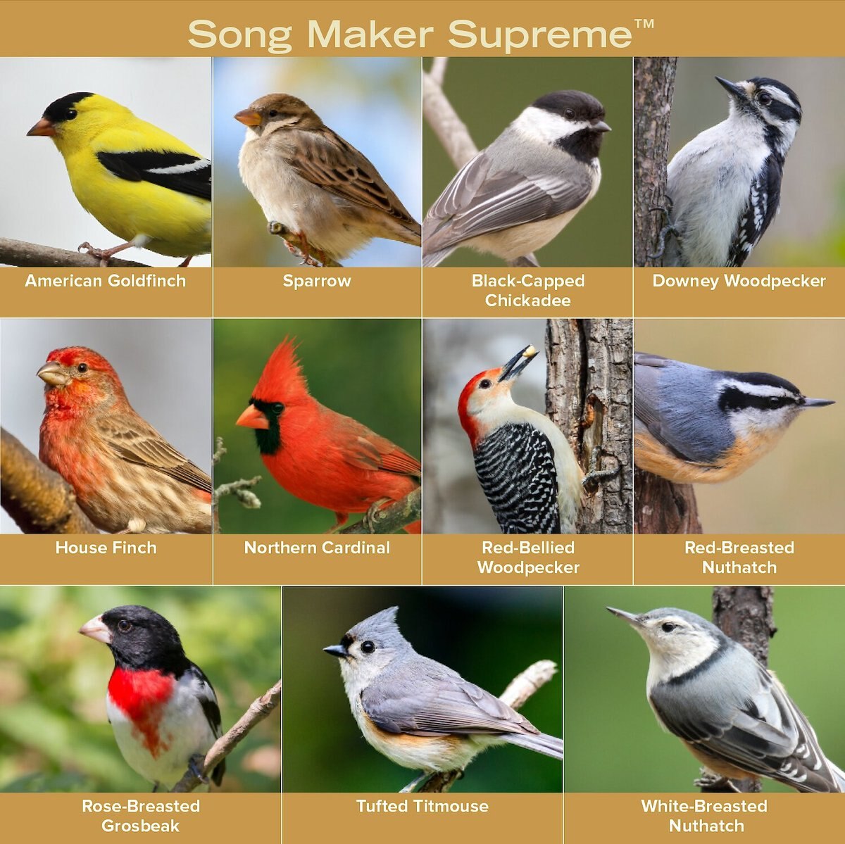 Blue Seal Song Maker Supreme Bird Food， 40-lb bag