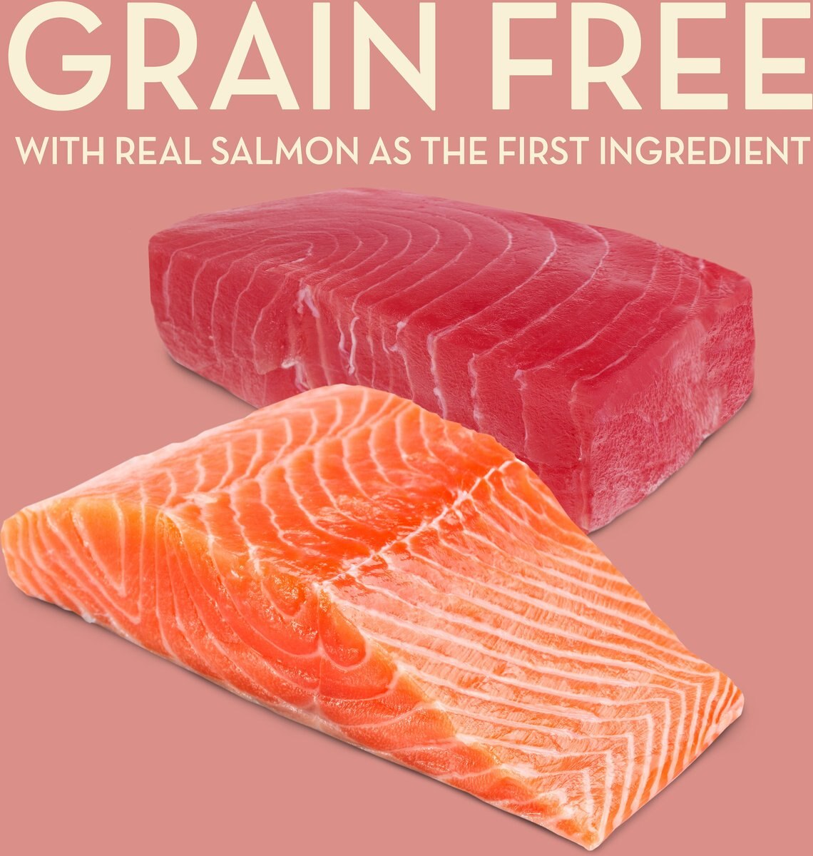 AvoDerm Grain-Free Salmon with Tuna Meal Dry Cat Food