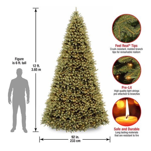 National Tree Company 12 ft. Downswept Douglas Fir Tree with Clear Lights