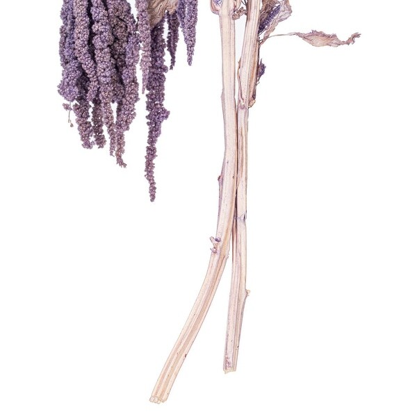 Vickerman 1620 Natural Dried Lavender Amaranthus Bundle，3.5 oz.