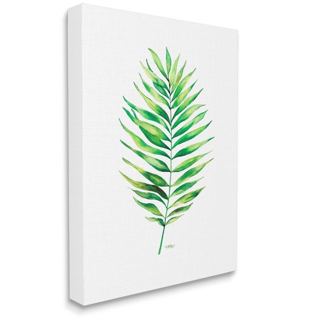 Stupell Industries Minimal Green Palm Tropical Plant Over White