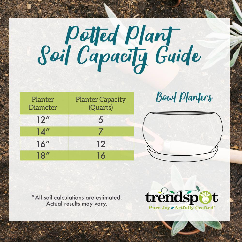 Trendspot 12 in. Dia Caspian Multi-Color Ceramic Bowl Planter CR10775-12C