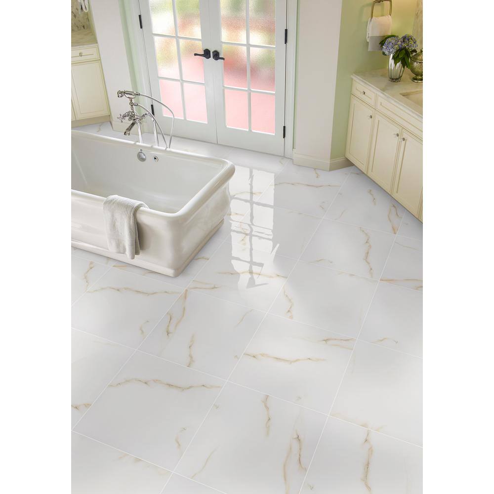 MSI Aria Bianco Polished Porcelain Floor and Wall Tile NARIBIA2424P