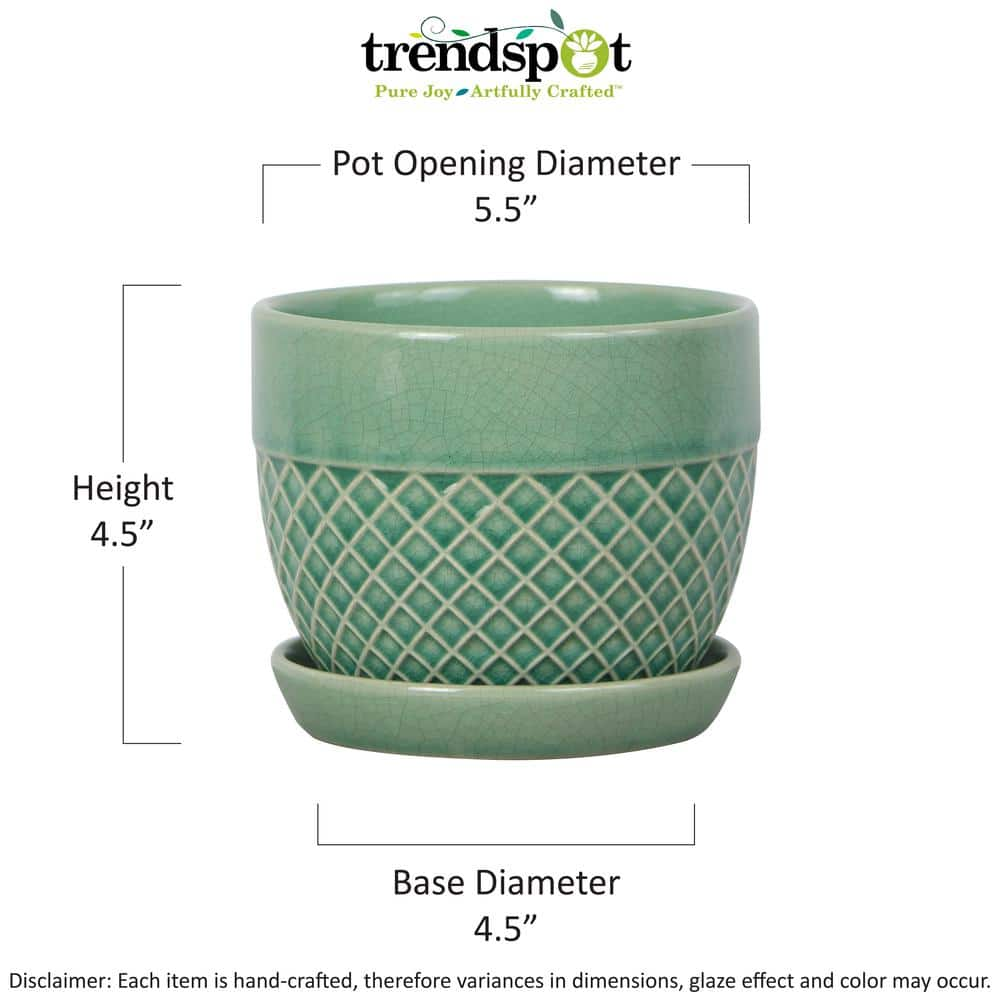 Trendspot 6 in. Mint Acorn Ceramic Planter CR10732S-060G