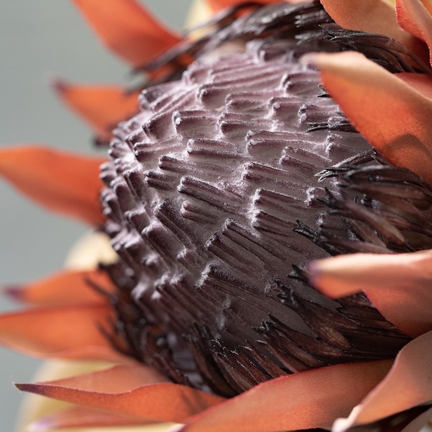 Sullivans Artificial Dried Protea Stem 26