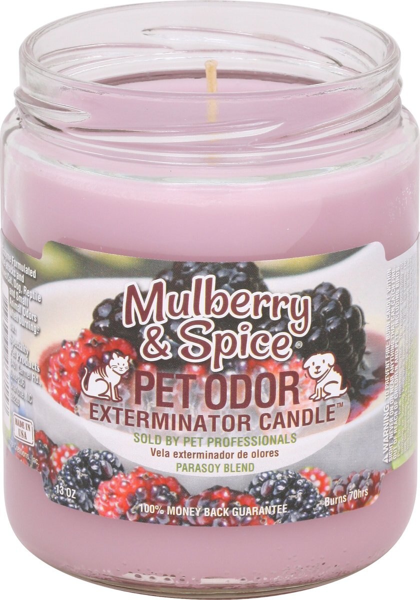 Pet Odor Exterminator Mulberry and Spice Deodorizing Candle