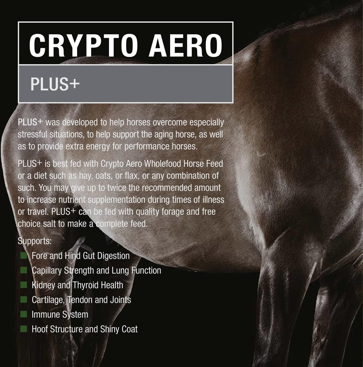 Crypto Aero Plus Comprehensive Powder Horse Supplement