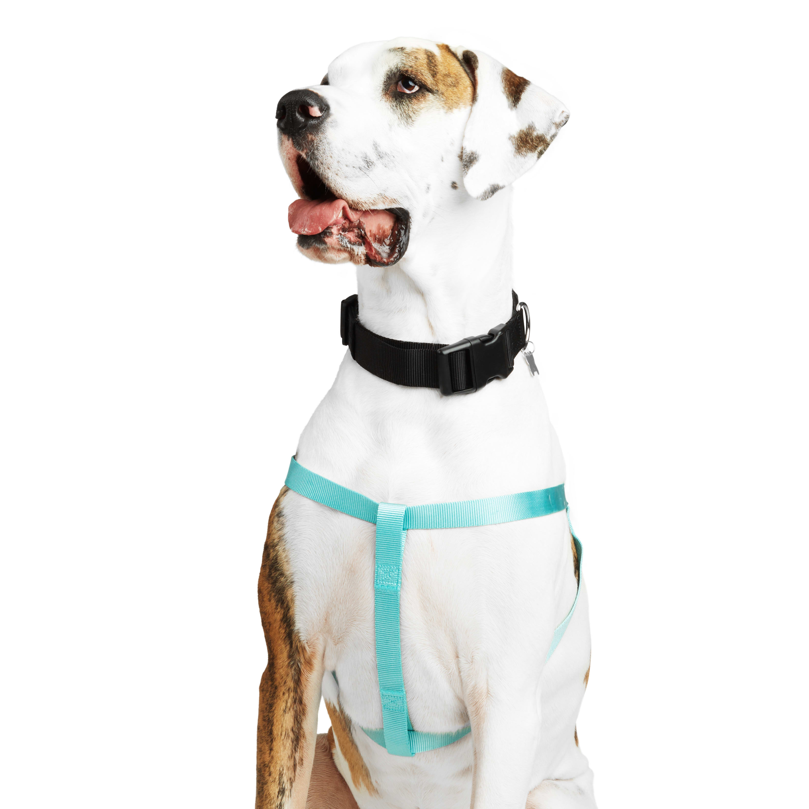 YOULY Turquoise Dog Harness， Large