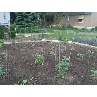 Gardener's Blue Ribbon 54 in. Galvanized Tomato Cage 901592A