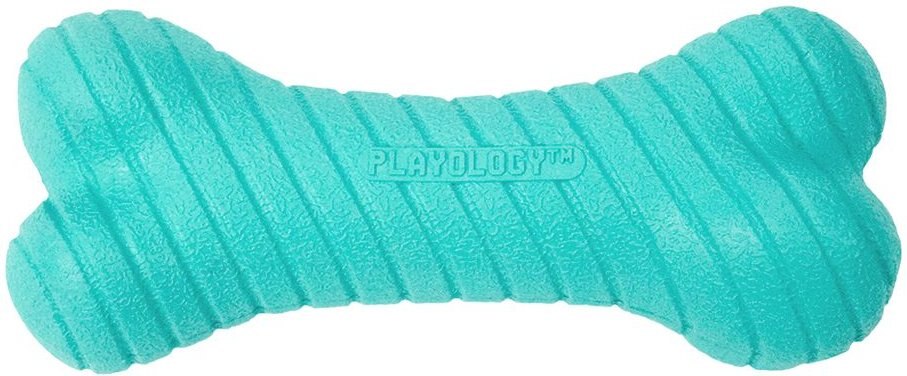 Playology Scented Dual Layer Bone Dog Toy