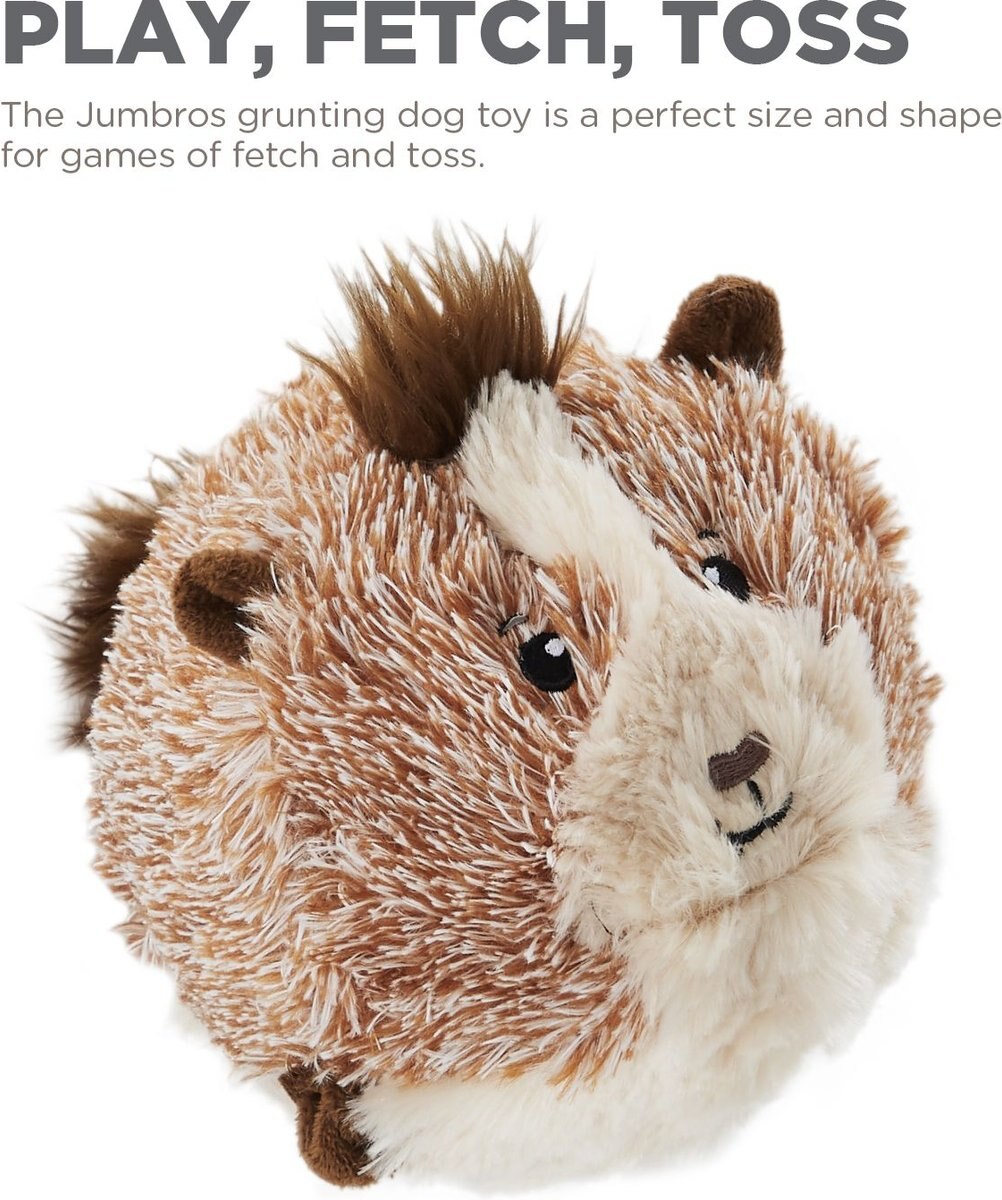 Outward Hound Jumbros Guinea Pig Grunting Ball Dog Toy， Brown， Medium