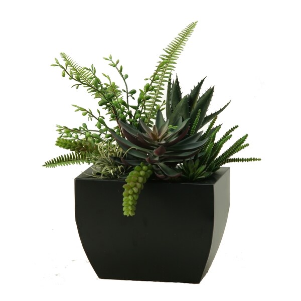 DandW Silks Aloe，Echeveria，Succulents in Rectangle Metal Planter