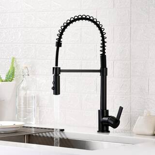 LUXIER Single-Handle Pull-Down Sprayer Kitchen Faucet with 2-Function Sprayhead in Matte Black KTS22-TM