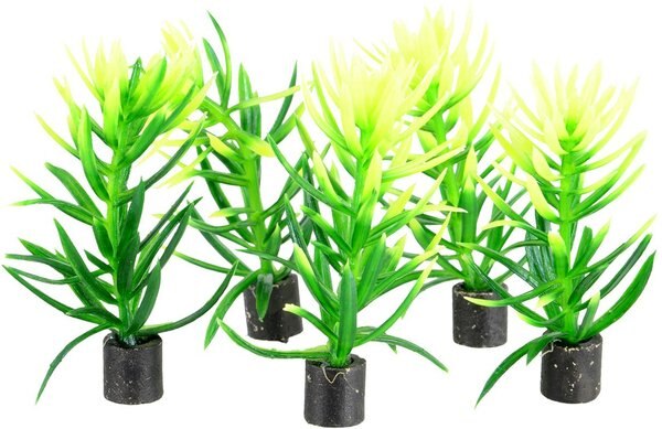 Underwater Treasures Mini Plant Green Bush Fish Ornament， 5 count