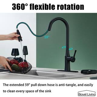 Boyel Living Single Handle No Sensor Pull Down Sprayer Kitchen Faucet with Deckplate Included and Glass Rinser in Matte Black BL-D3541-MB