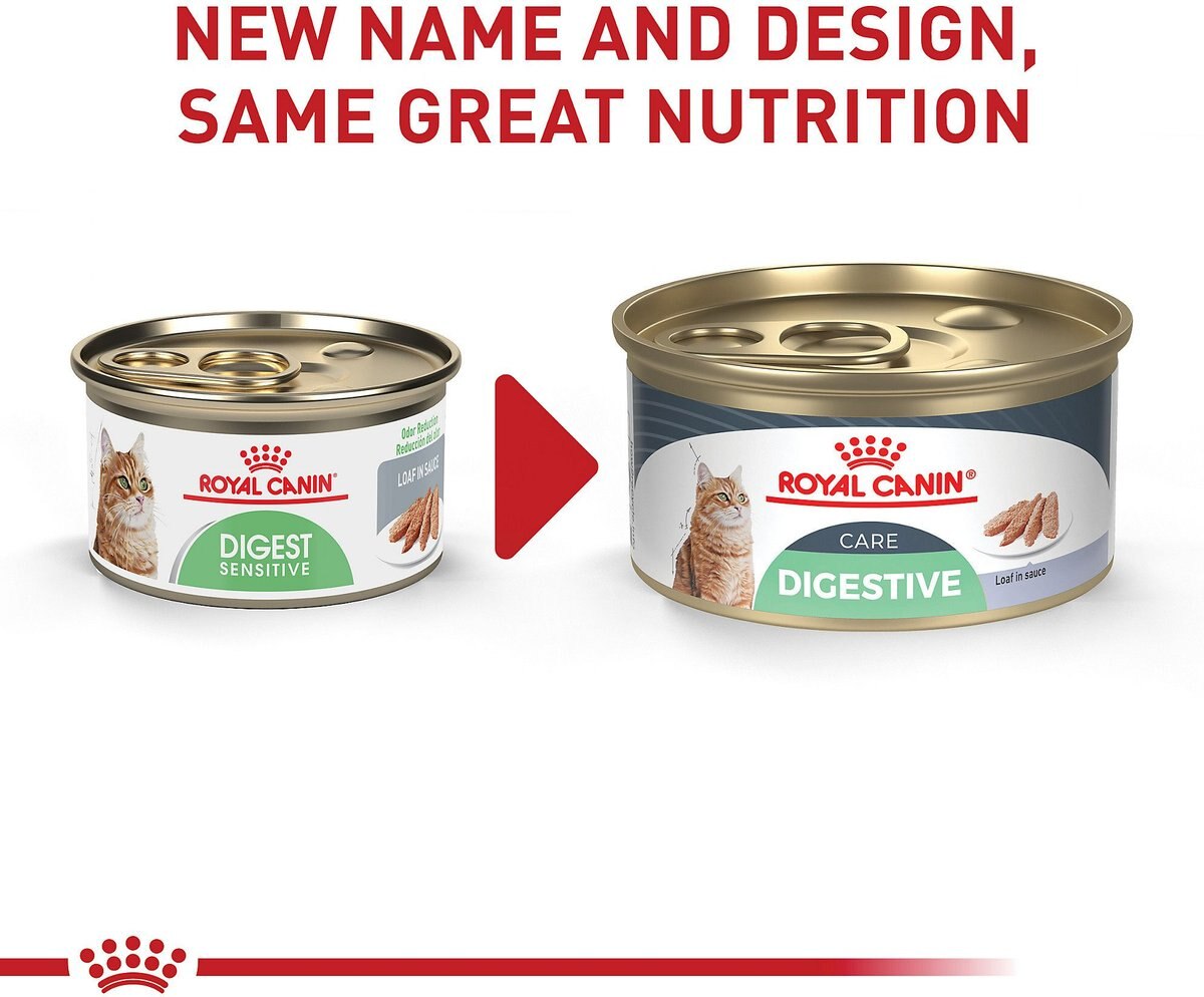 Royal Canin Feline Care Nutrition Digestive Care Loaf in Sauce Canned Cat Food