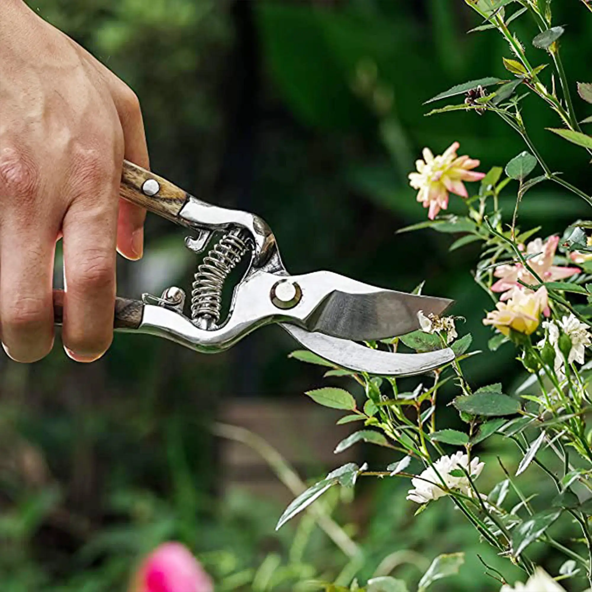 Pruning Shears Ash Wood Handle Bypass Pruner Wood Secatuers