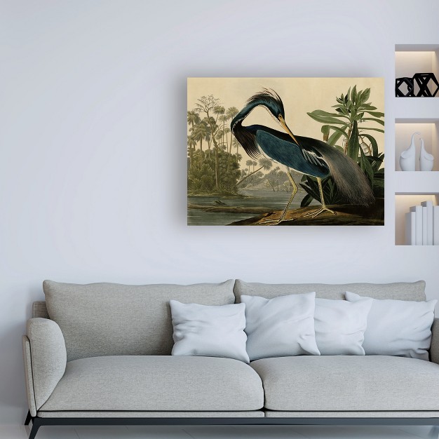 Trademark Fine Art John James Audubon x27 louisiana Heron x27 Matted Framed Art