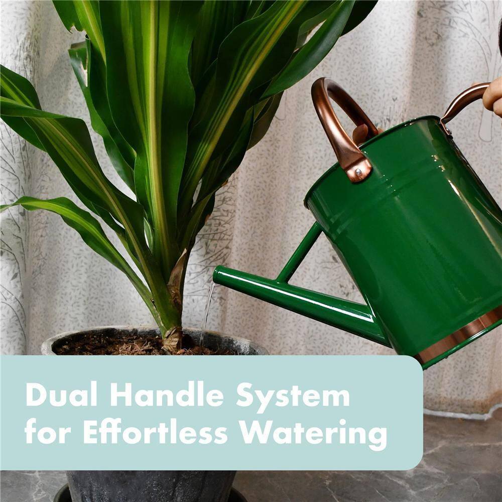 Dyiom 1 Gal. Green Metal Watering Can with Removable Spout Rainwater Harvesting System B0B34XLGV9