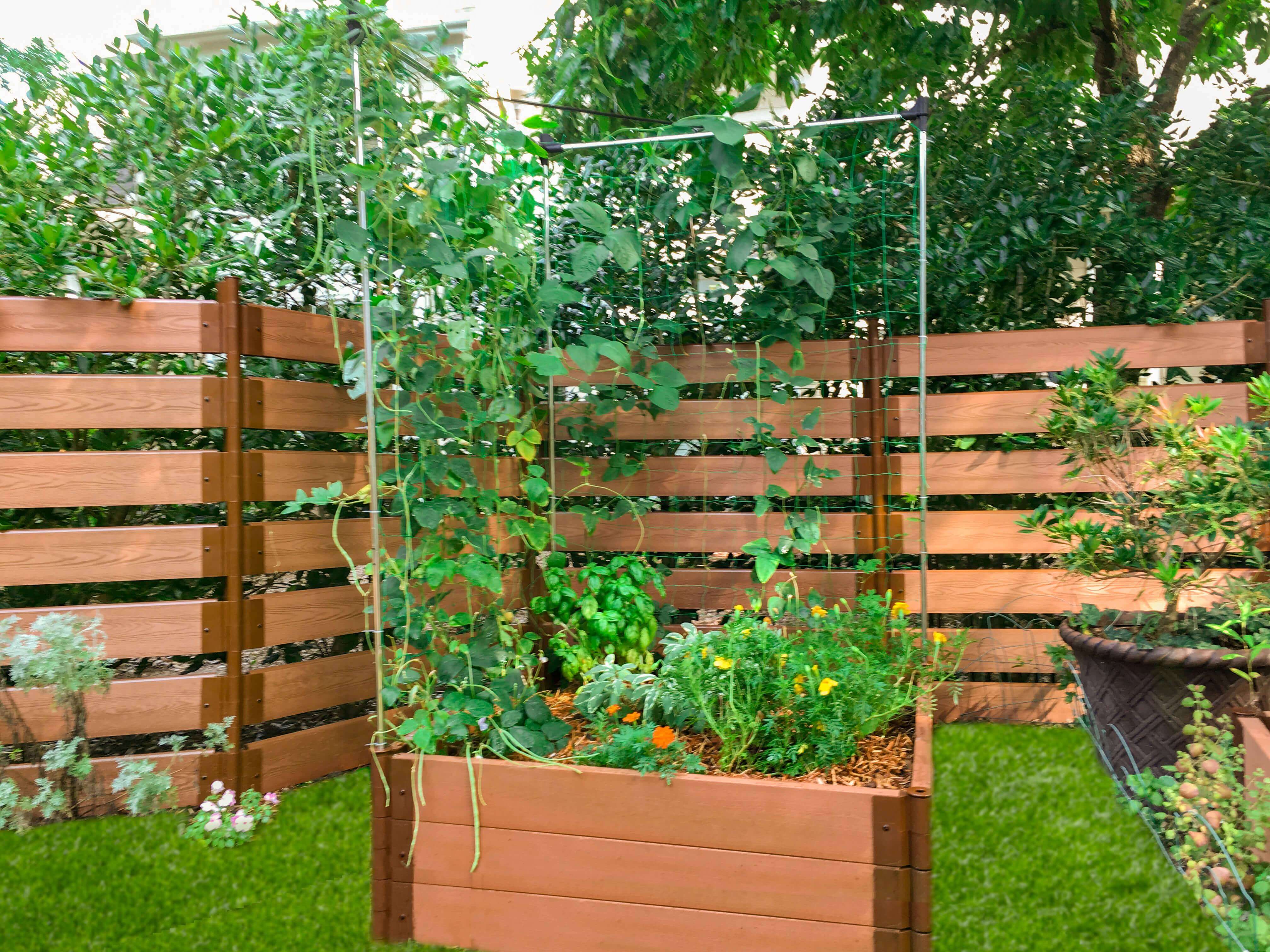 4' x 4' Raised Garden Bed with Trellis