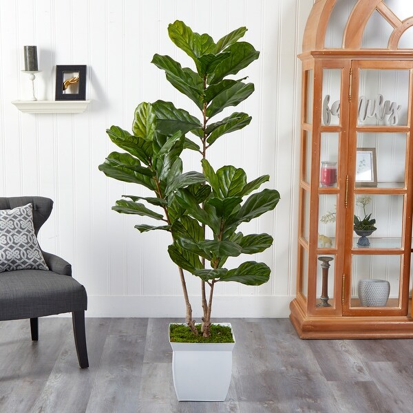 5.5' Fiddle Leaf Artificial Tree in White Metal Planter UV Resistant (Indoor/Outdoor)