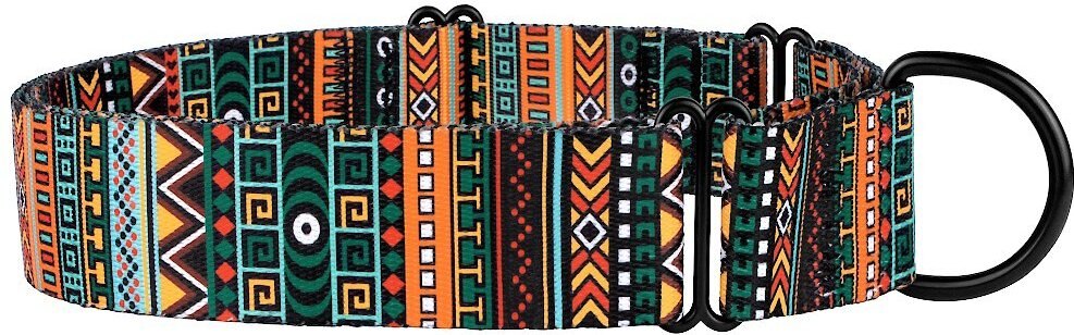 CollarDirect Tribal Pattern Aztec Design Nylon Martingale Dog Collar