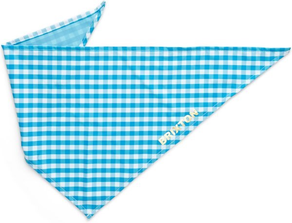 Boulevard Personalized Remy Gingham Dog Bandana