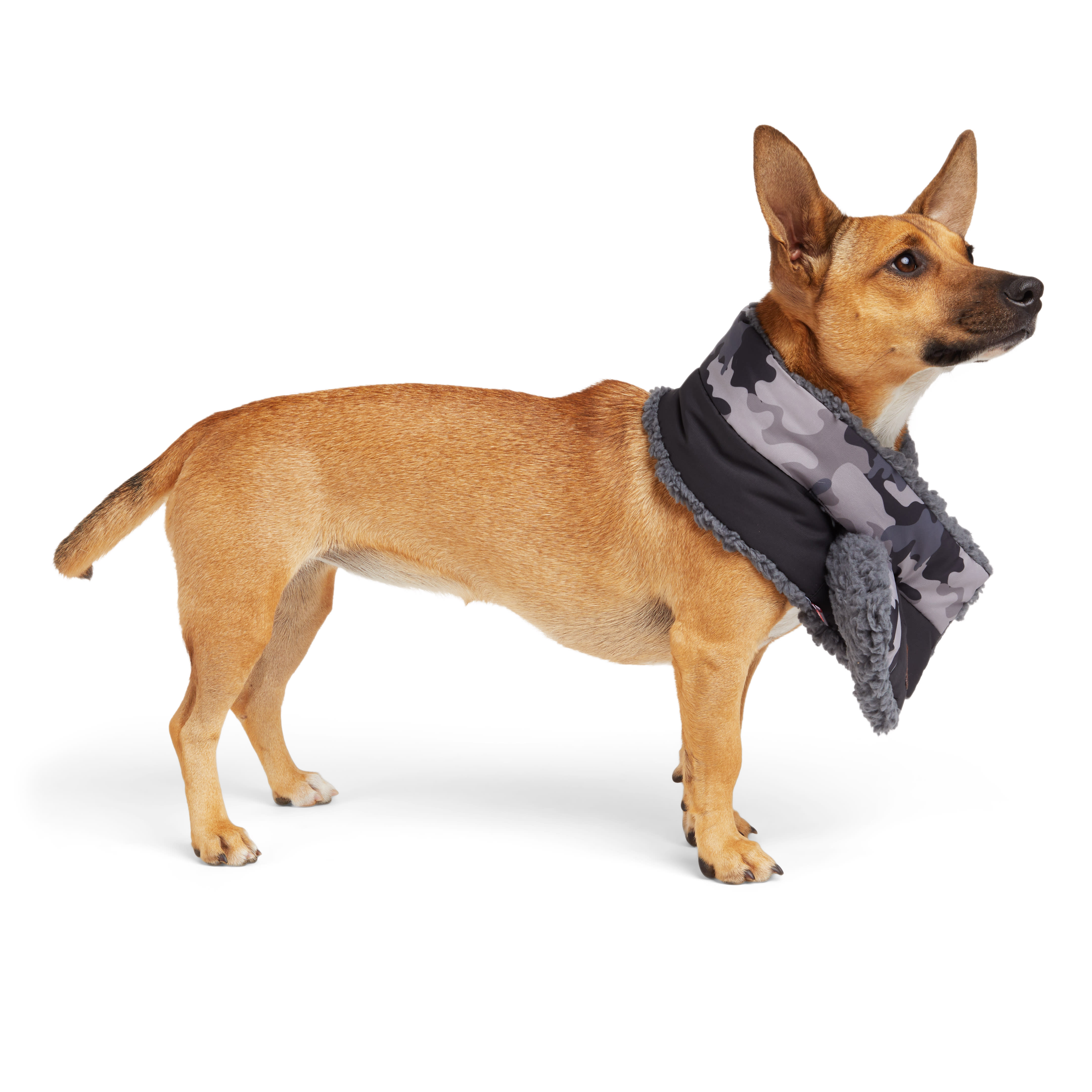 Reddy Primaloft Dog Scarf， X-Small/Small