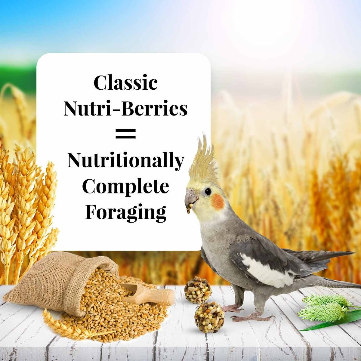 Lafeber Classic Nutri-Berries Cockatiel Food