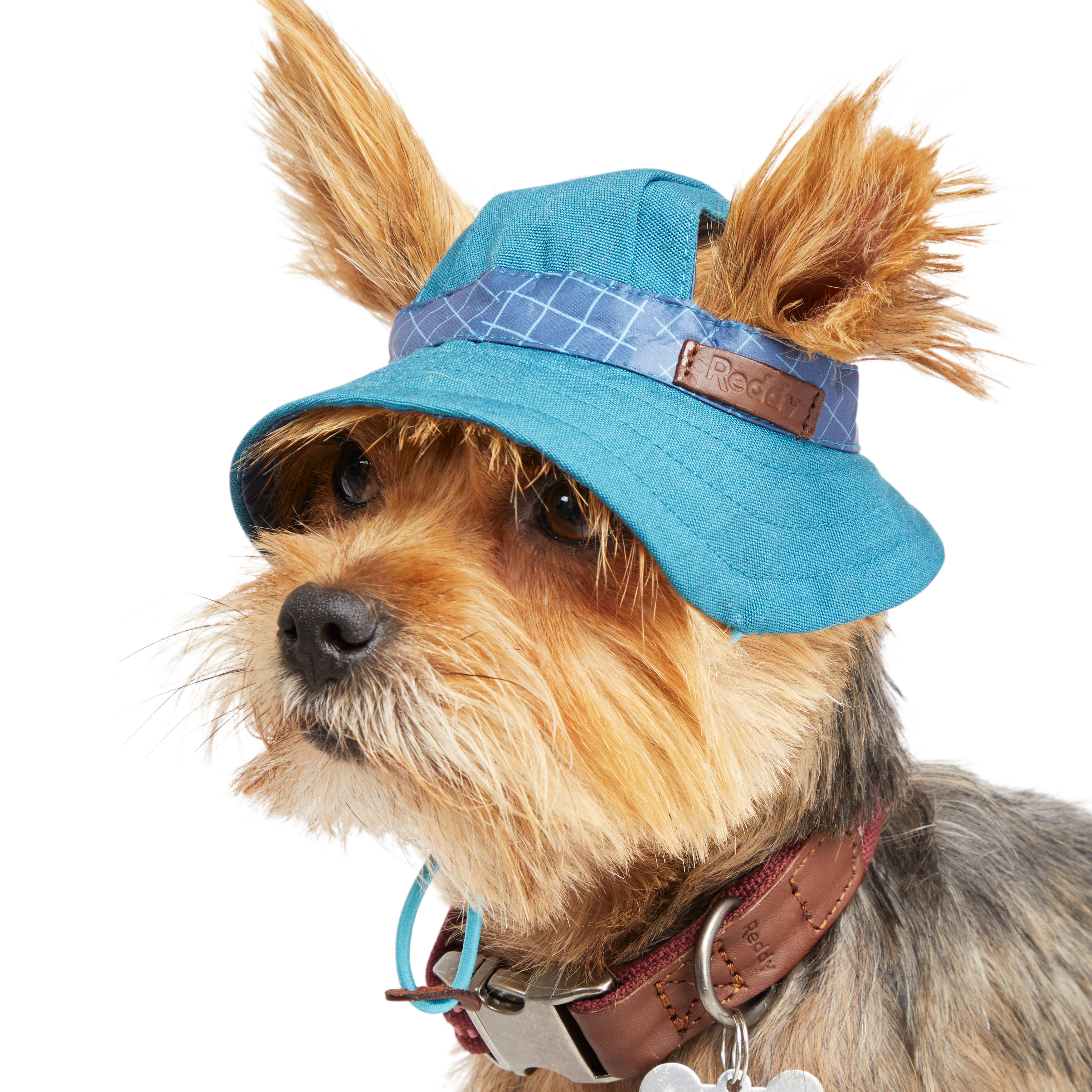 REDDY Navy Bucket Dog Hat， X-Small/Small