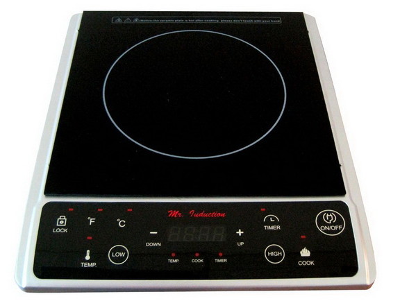 SPT SR 964TS 1300W Induction Cooktop (Silver)