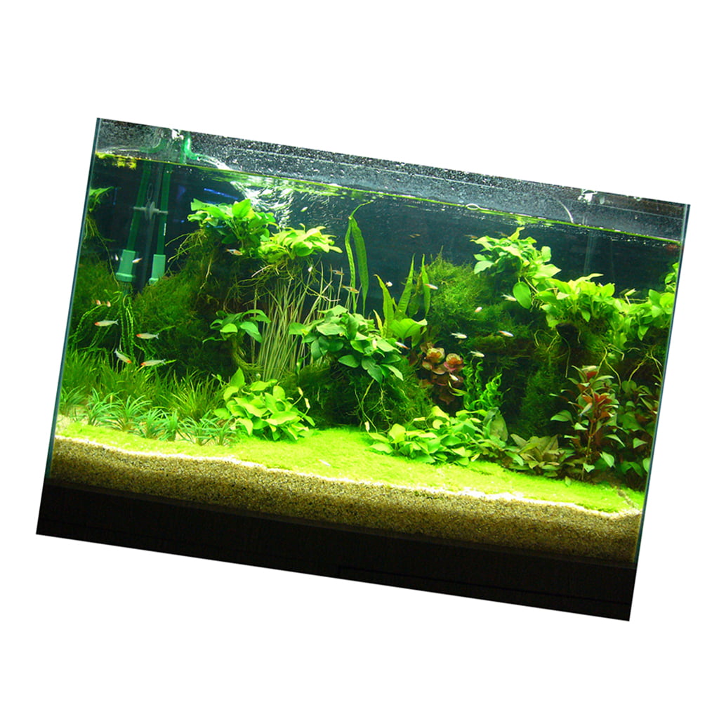 Attractive 3D Plants Image Aquarium Background Poster/Fish Tank Landscape - 61x30cm