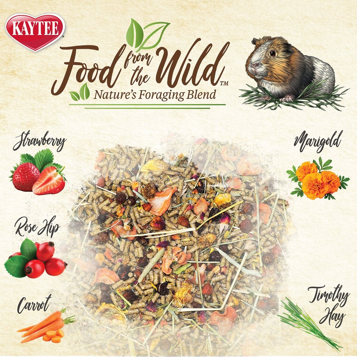 Kaytee Food From the Wild Guinea Pig Food， 4-lb bag