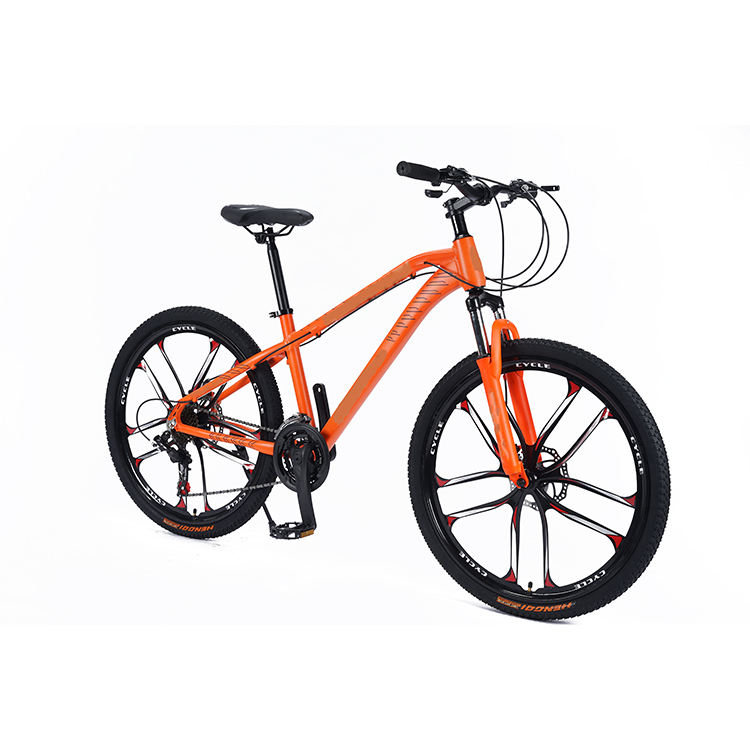 Factory Direct Carbon Fiber frame Mountain Bike 20 Inch 24 Speed Off road Mountain MTB Bicycle For Adults