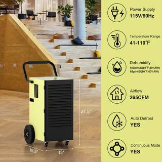 Zeus  Ruta 150 pt. 4000 sq. ft. Bucketless Commercial Dehumidifier in. Greens with Drain Hose and Water Tank COMMER11270