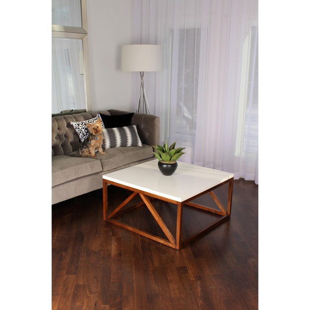 Kate And Laurel Kaya Wood Coffee Table