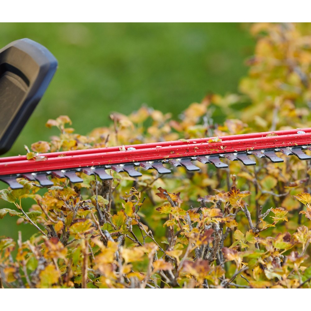 Toro Flex Force 60V Hedge Trimmer Kit 24