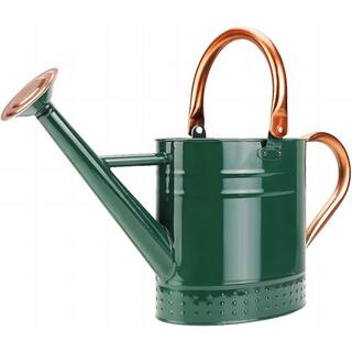 Cubilan 1 Gal. Metal Watering Can with Removable Spout Nice Galvanized Steel Water Can with Embossed Design B08LBG671T